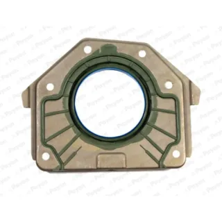 Payen LK5001 Arka Keçe