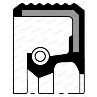 Payen NF826 Right Differential Oil Seal