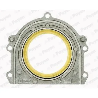 Payen LK5002 Wellendichtring — OEM LUF100420