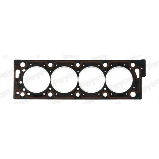 Payen AD5100 Cylinder Head Gasket — OEM 0209.Q3