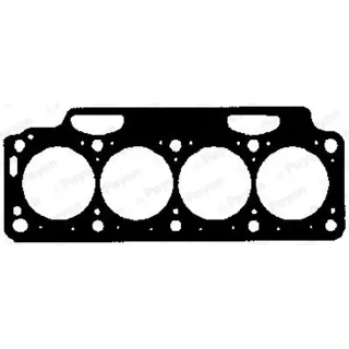 Payen BX601 Cylinder Head Gasket — OEM 7700859273