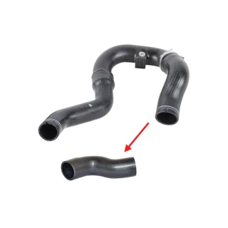 Gros T56625 Ladeluftschlauch — OEM 51832981