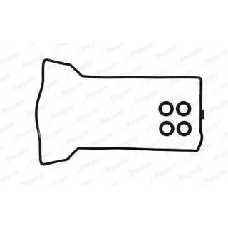 Payen HM5057 Прокладка клапанной крышки — OEM 1110100430