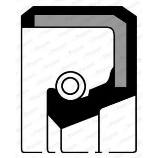 Payen NA5136 Oil Seal