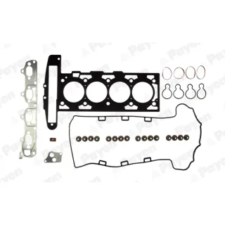 Payen CG9580 Üst Üst Takım Conta