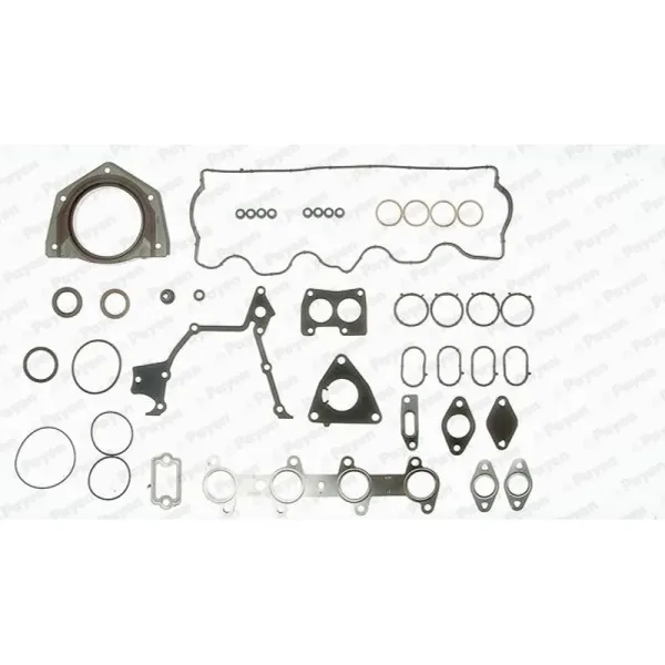 Payen GZ790 Gasket Set — OEM 71715698