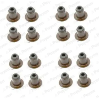 Payen HR5140 Valve Stem Seal — OEM 500395378
