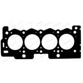 Payen AD5711 Cylinder Head Gasket — OEM 0209.W7