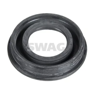 Swag 30106242 Inyector