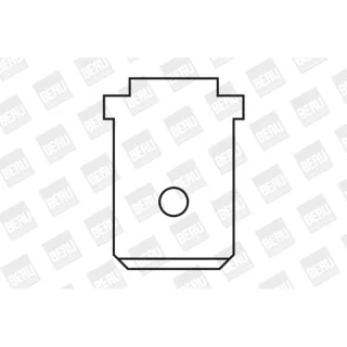 Beru ZS416 Ignition Coil