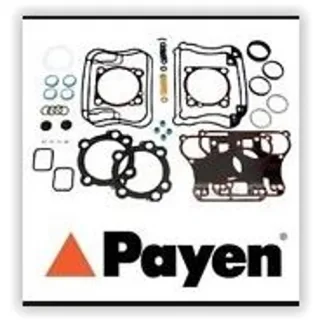 Payen DW712 Üst Üst Takım Conta — OEM 71713633