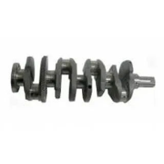 Genmot 1421 Crankshaft — OEM 8200385222