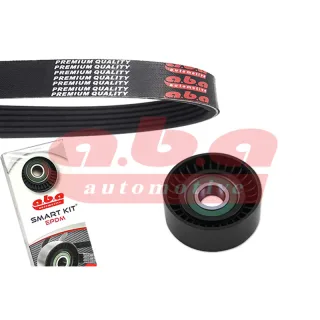 ABA 6PK1310S1 Комплект натяжителя ремня генератора