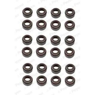 Payen HR5055 Valve Stem Seal — OEM 1040500258