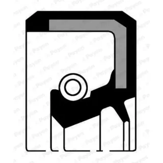 Payen NA5017 Rear Oil Seal — OEM 31339219 31339213 9458178