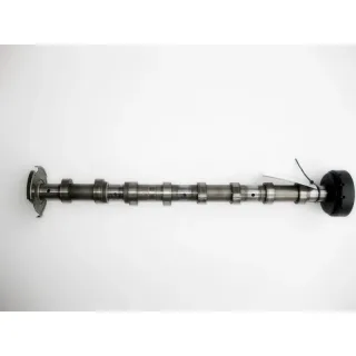 Estas 33139 Escape — OEM A1110504701
