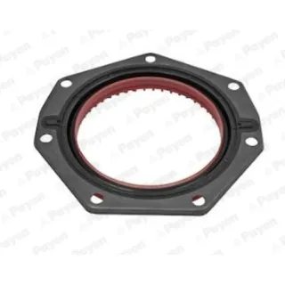 Payen NF883 Oil Seal — OEM 504059361