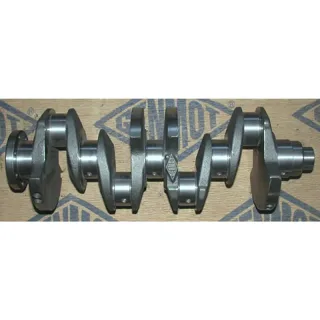 Genmot 1160 Crankshaft — OEM 7700704658