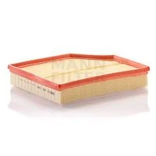 Mann C29021 Air Filter — OEM 31370089