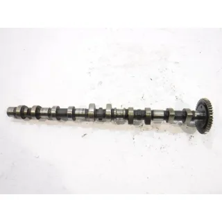 Estas 33109 Exhaust