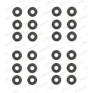 Payen HR5062 Valve Stem Seal — OEM 36109675