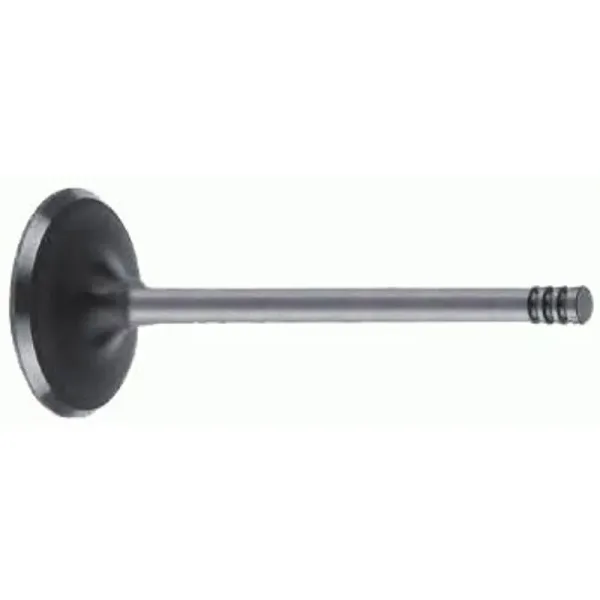Payen V98005 Клапан — OEM 55206431