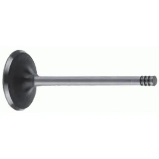 Payen V98005 Supap — OEM 55206431
