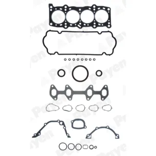 Payen GP286 Gasket Set — OEM 71718309