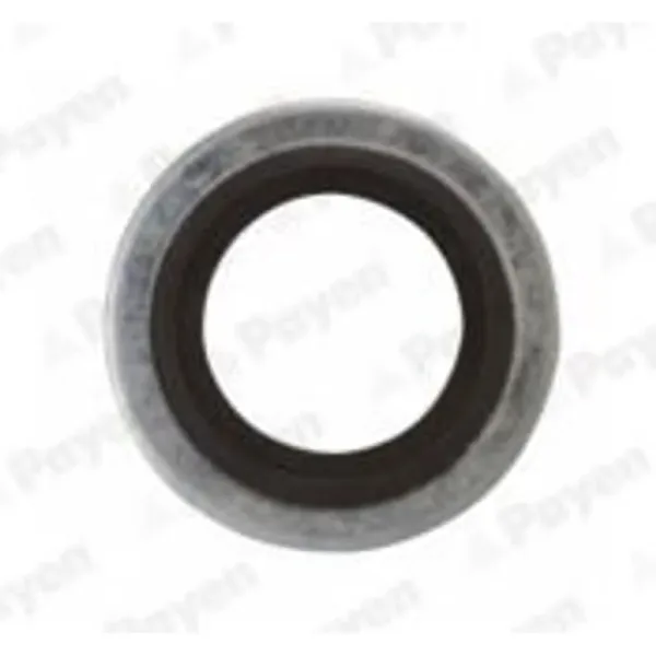 Payen PB852 Plug