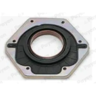Payen NF885 Keçe — OEM 504086312