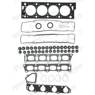 Payen CD5100 Üst Üst Takım Conta — OEM 0209Q3