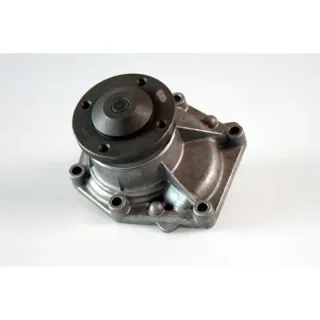 GK 980970 Water Pump