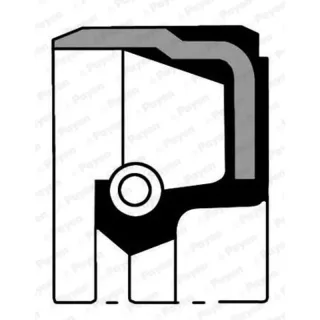 Payen NB848 Oil Seal — OEM ERR2532